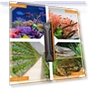 Thumbnail Aquarium Heater with Digital LED Controller — Heaters & Chillers, hygger
