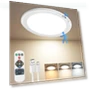 Thumbnail Motion Sensor Ceiling Light — Overhead Lighting, Bairth