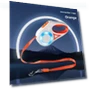 Automatic Retractable LED Dog Leash — Training Leads, Smart Pet Supplies