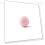 Automatic Rolling Ball Toy — Cat Playthings, BC Pet Supplies