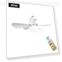 LED Ceiling Fan with Remote Control — Ceiling Fans, Household supplies MH
