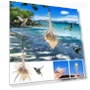 Smart Bird Feeder — Backyard Birding, Excellent stuff