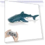 Remote Control Shark Kit Spray Water Toy — Beach Toys, Specials