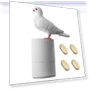 Automatic Soap Dispenser in Dove Shape — Care Dispensers, Party&Festival Supplies