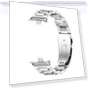 Stainless Steel Strap — Fitness Bands, PINSENDA