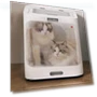 Automatic Hair Dryer Box for Cats and Pets — Dryers & Accessories, Healthy life for you