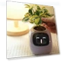 Smart Pet Pot — Nursery Pots, HappyToy