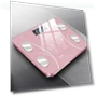 Smart Body Fat Scale — Weight Management Tools, Factory Discount Outlet