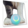 Interactive Cat Toy Ball — Cat Playthings, Holland Lec