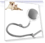 Chewie Ball Rolling Pet Toy — Balls, Diana Pet Stuff