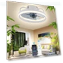 Smart Double Silicon Strip Ceiling Fan — Ceiling Fan Wall Controls, Luminaire Lighting Mall