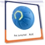 Smart Rolling Ball for Pets — Interactive Animal Companions, The best future