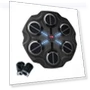 Music Boxing Target with Light Effect — Boxing Training Gear, newaday