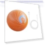 LED Rolling Pet Ball — Balls, Fashion Accessory