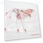 Interactive Cat Training Toy — Cat Playthings, AI Supermarket