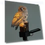 Owl-shaped Solar-Powered LED Lawn Light — Outdoor Security & Flood Lighting, AI Supermarket