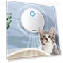 Smart Odor Eliminator for Cats — Odor Removers, YJMP