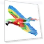 Electric Simulation Fake Parrot Toy — Interactive Animal Companions, Picture Hung