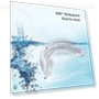 4-in-1 Teeth Whitening Kit with Timer — Bright Smile Solutions, Margin Fades