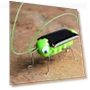 Educational Solar Powered Robot Toy — Solar Power, Gouhuo
