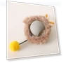 Interactive Cat Toy Ball — Cat Playthings, Shanylty