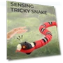Interactive Snake Toy for Cats — Interactive Animal Companions, Gouhuo