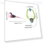 Smart Hanging Door Toy — Cat Playthings, pandammtour