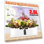 Smart Hydroponic Growing System — Germination Kits, Decor Dream