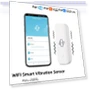 WiFi Vibration Sensor — Smart Home Security, Home Renovation