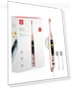 Electric Sonic Toothbrush — Sonic Electric Toothbrushes, Zepan