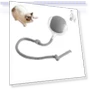 Interactive Pet Toy Ball — Cat Playthings, Household supplies MH