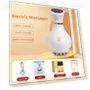 Smart Multifunctional Electric Meridian Brush — Back Relief Solutions, Crown Global