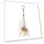 Smart Bird Feeder — Backyard Birding, Quatra